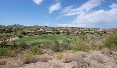McDowell Mountain views