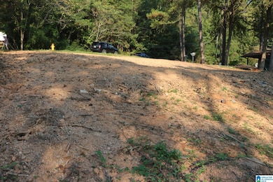 175 Glaze Creek Rd, Bessemer, AL 35023 - photo 2