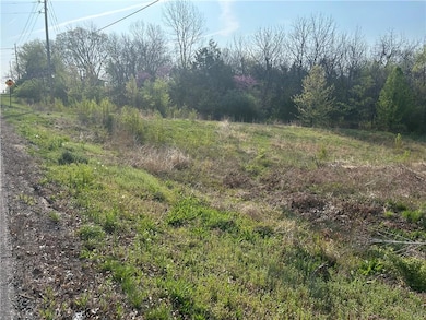000 4-H Rd, Lansing, KS 66043 - photo 3