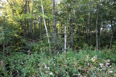 L3 B13 WB15 Winter Trail, Breezy Point, MN 56472 - photo 3