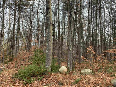 32 Neal Hill Rd, Center Tuftonboro, NH 03816 - photo 2