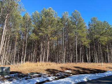 320 Waterwheel Way, Sequatchie, TN 37374 - photo 2