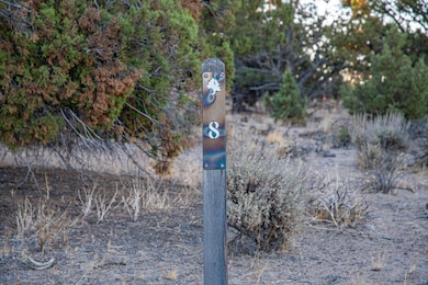 Lot8MLS-2