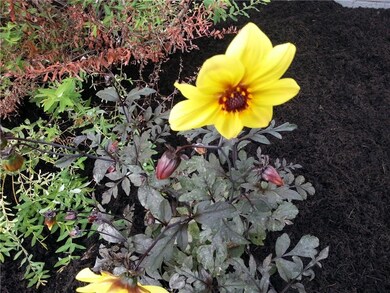 3116 15th St, Columbus, IN 47201 - photo 6