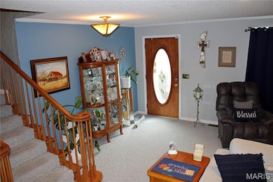 3905 Missouri 21, Doniphan, MO 63935 - photo 6