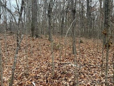 23811 S Nc Highway 109, Denton, NC 27239 - photo 3