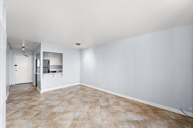 Dickinson House unit 1103D, Chicago, IL 60610 - photo 7