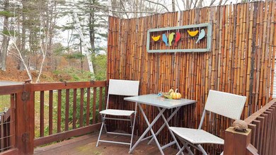 175 Leavitt Rd unit 20, Pittsfield, NH 03263 - photo 3