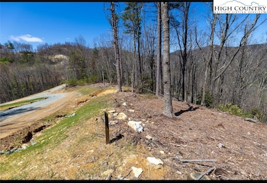 84 Wilderness Reserve Pkwy, Deep Gap, NC 28618 - photo 4