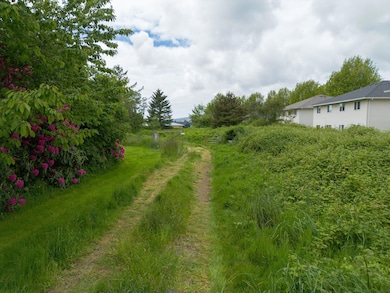 23-web-or-mls-Marolf Loop Land-31