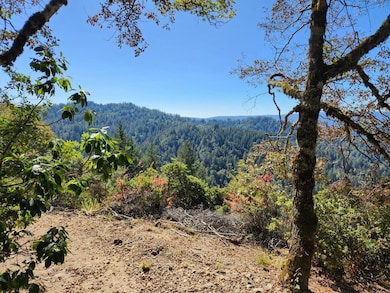 0 Conley Creek unit ML82011082, San Lorenzo Valley, CA 95006 - photo 4