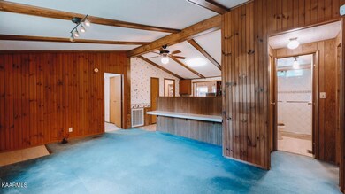 106 W Hendron Chapel Rd, Knoxville, TN 37920 - photo 6