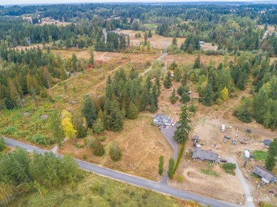 13215 252nd St E, Graham, WA 98338 - photo 3