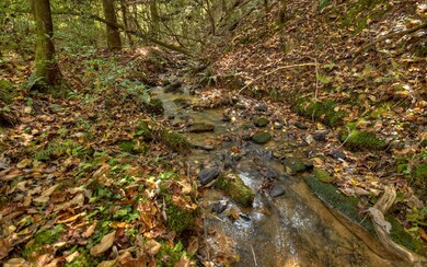 1050 Dover Falls Trail, Ellijay, GA 30540 - photo 2