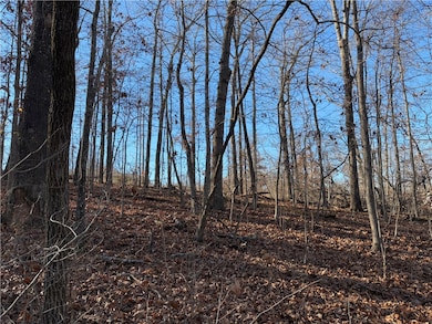 0 Egton Dr unit 1330074, Bella Vista, AR 72714 - photo 6