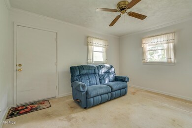 607 E Market St, Johnson City, TN 37601 - photo 5