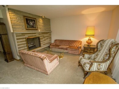 Living Room with Wood Burning Fireplace