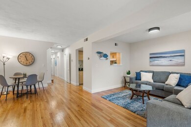 45 Harrison St unit D, Roslindale, MA 02131 - photo 4