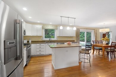 10 Carriage House Way, Medway, MA 02053 - photo 7