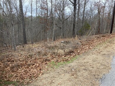 0 Enfield Dr, Bella Vista, AR 72715 - photo 3