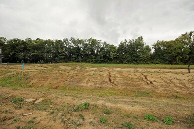 Lot 6