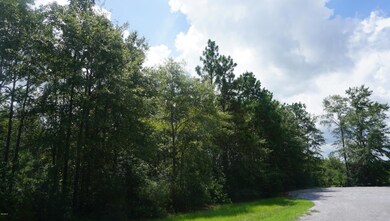 Lot #9 Mill Creek Rd, Lucedale, MS 39452 - photo 7