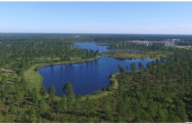 665 Indigo Bay Cir unit Laurel 2 lot 51, Myrtle Beach, SC 29579 - photo 2