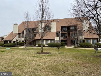 6004D Curtier Dr unit D, Alexandria, VA 22310 - photo 3