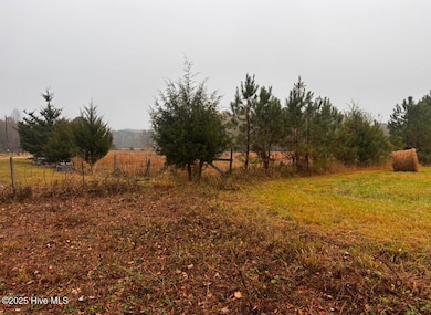 001tbd N Carolina 58, Nashville, NC 27856 - photo 5