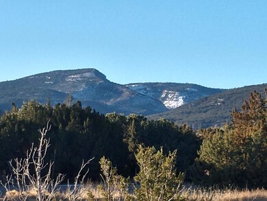 Tract A-1 Cerrito Rojo, Placitas, NM 87043 - photo 7