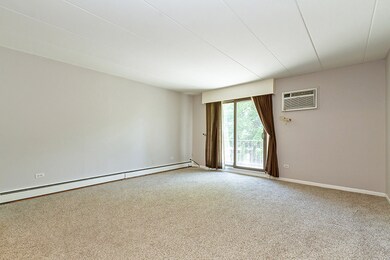 1220 S Lorraine Rd unit 2E, Wheaton, IL 60189 - photo 4
