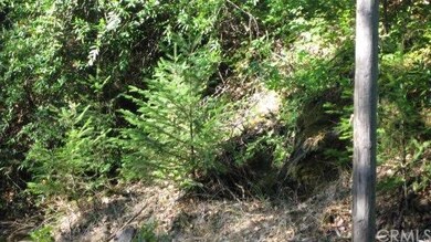 More trees