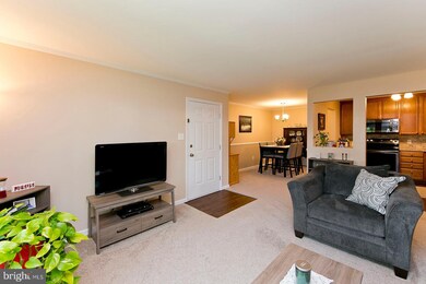 114 Timberlake Terrace, Stephens City, VA 22655 - photo 4