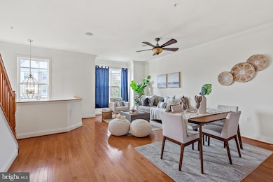 4318 Vintage Ivy Ln, Owings Mills, MD 21117 - photo 6