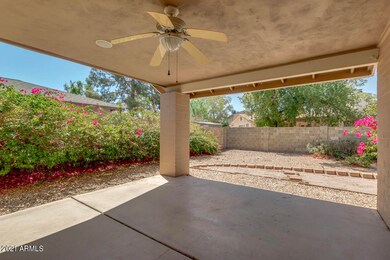 05 1517 W Impala Ave Back Patio