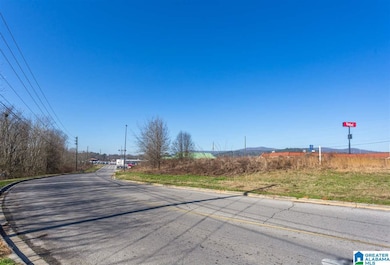 0 Friendship Rd unit 1 acre 835862, Oxford, AL 36203 - photo 6