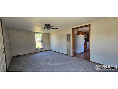 312 Main St, Wiggins, CO 80654 - photo 2