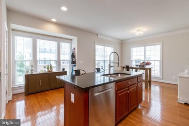 25455 Hopton House Terrace, Chantilly, VA 20152 - photo 6