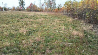 0 Overview Rd unit RTC3011844, Crossville, TN 38572 - photo 5