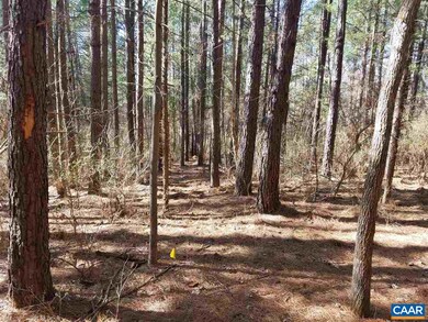 Lot 27 Guildford Farm Rd, Monroe, VA 22968 - photo 7