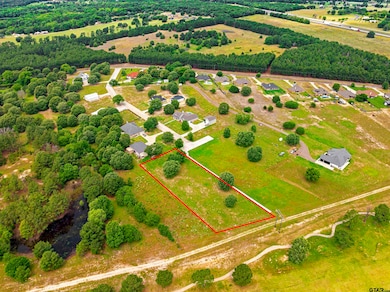 Lot 7 Babes Landing, Lindale, TX 75771 - photo 2