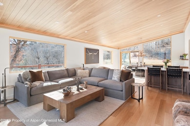 120 Turtle Cove, Aspen, CO 81611 - photo 2