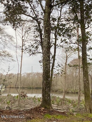 0 Donniebrook Ln, Moss Point, MS 39562 - photo 4