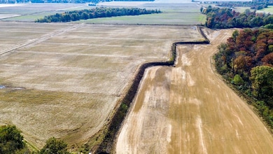 000 Highway 328, Reyno, AR 72462 - photo 4