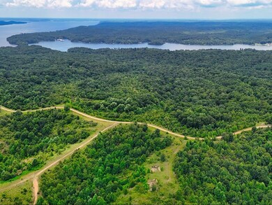 0 Shores Trail unit RTC3000397, Stewart, TN 37175 - photo 3