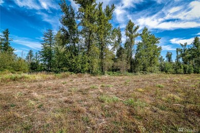 2753 E Badger Rd, Everson, WA 98247 - photo 5