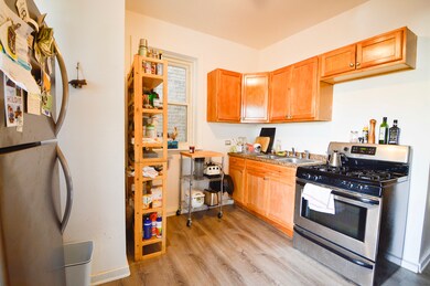 3320 W Crystal St unit 1, Chicago, IL 60651 - photo 4