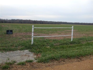 0 Rt 1 unit 118-3 11215344, Weaubleau, MO 65774 - photo 6