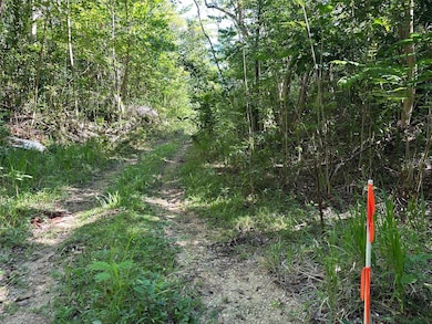 0 Carr 413 Interior, Rincon, PR 00677 - photo 3