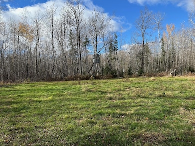 TBDxx Minnesota 65, Jacobson, MN 55752 - photo 4